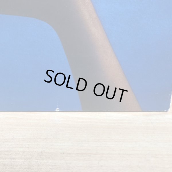 画像6: Mighty Diamonds / Ice on Fire