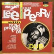 画像2: LEE PERRY with MAD PROFESSOR / MYSTIC warrior DUB