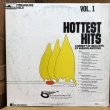 画像2: V.A. / HOTTEST HITS vol.1