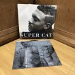 画像3: SUPER CAT / THE STRUGGLE CONTINUES