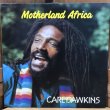 画像1: CARL DAWKINS / Motherland Africa