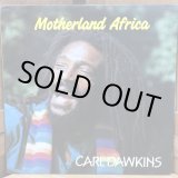 画像: CARL DAWKINS / Motherland Africa