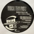 画像4: SUBSTANTIAL AND L UNIVERSE / LYRICAL TERRORISTS