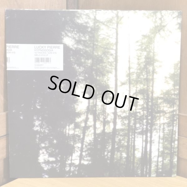 画像2: LUCKY PIERRE / HYPNOGOGIA
