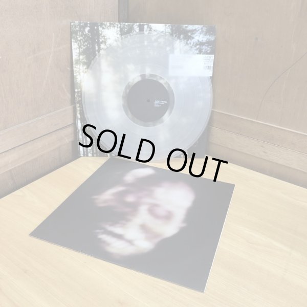 画像5: LUCKY PIERRE / HYPNOGOGIA