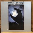 画像1: BOB JAMES / IN CLASSICS