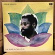 画像1: BENNIE MAUPIN / THE JEWEL IN THE LOTUS