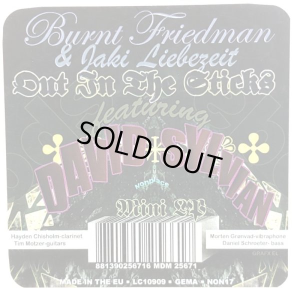 画像2: Burnt Friedman & Jaki Liebezeit / Out In The Sticks featuring DAVID SYLVIAN