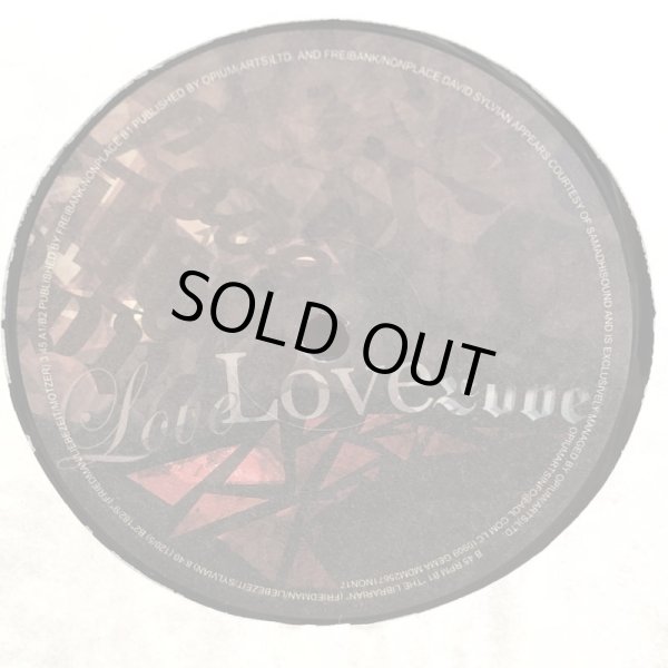 画像5: Burnt Friedman & Jaki Liebezeit / Out In The Sticks featuring DAVID SYLVIAN