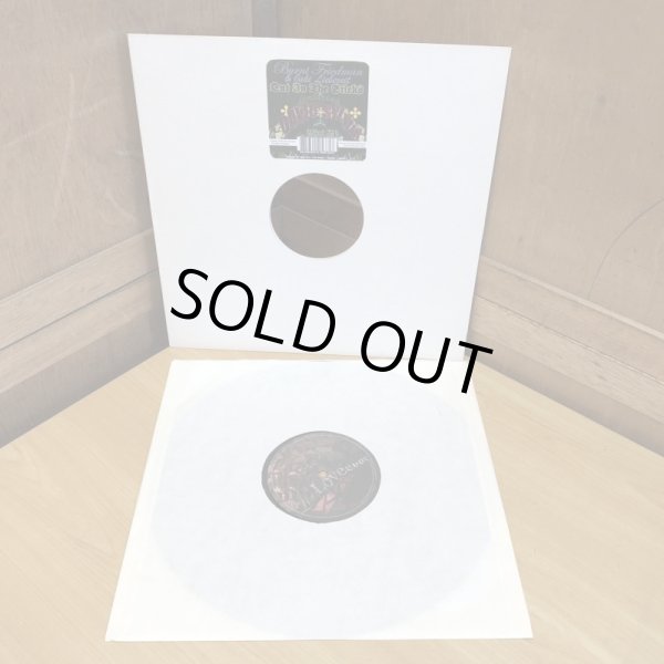 画像3: Burnt Friedman & Jaki Liebezeit / Out In The Sticks featuring DAVID SYLVIAN