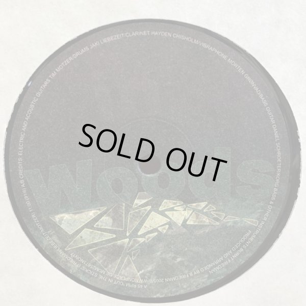 画像4: Burnt Friedman & Jaki Liebezeit / Out In The Sticks featuring DAVID SYLVIAN