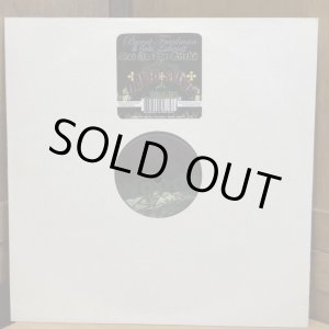 画像: Burnt Friedman & Jaki Liebezeit / Out In The Sticks featuring DAVID SYLVIAN