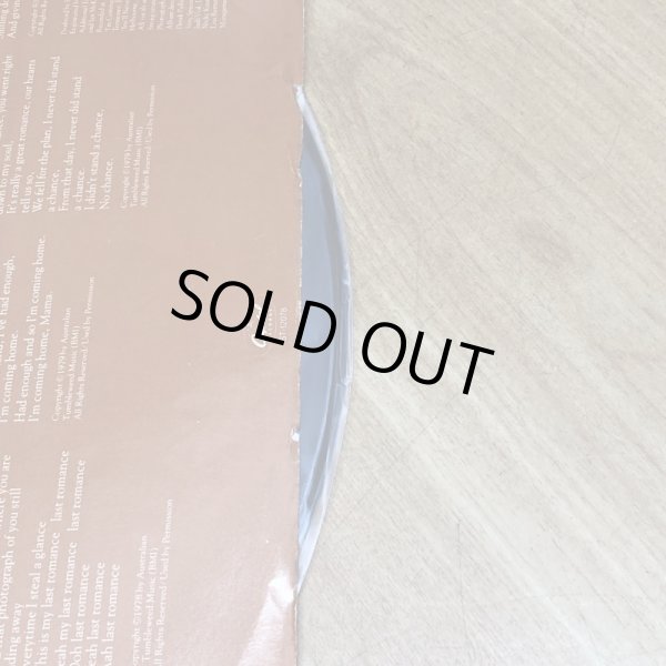 画像6: BIRTLES & GOBLE / THE LAST ROMANCE