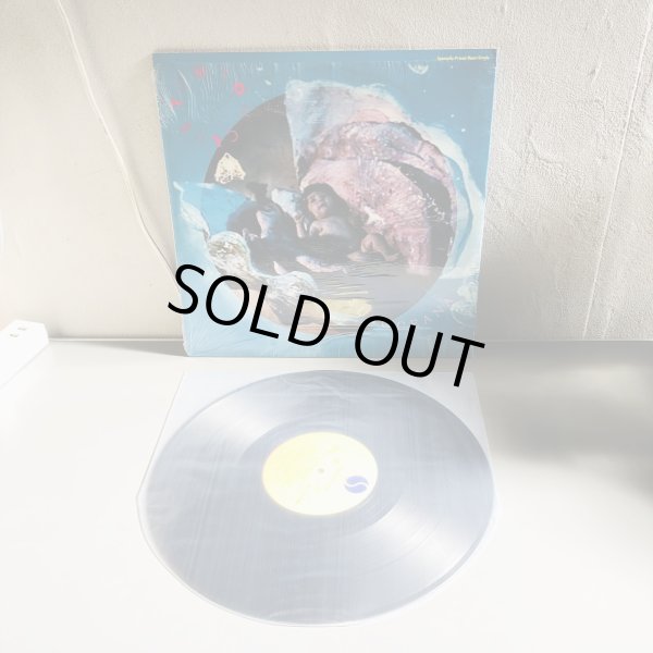 画像3: TOM TOM CLUB / SUBOCEANA  12"E.P.