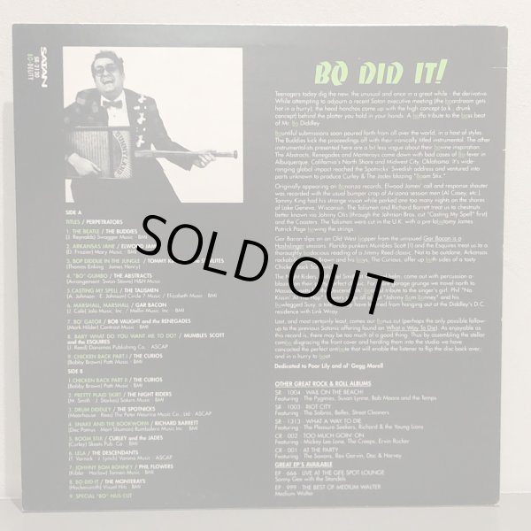 画像2: V.A. / BO DID IT!