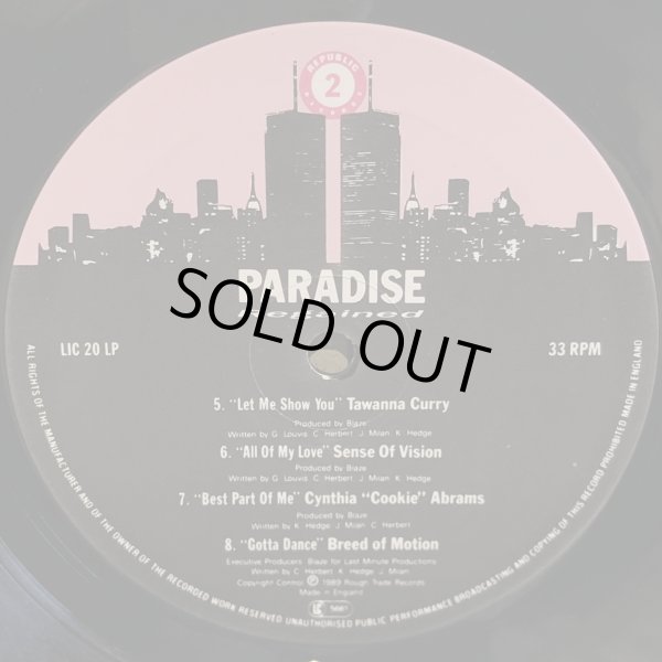 画像5: V.A. / PARADISE REGAINED THE GARAGE SOUND OF DEEPEST NEW YORK VOL.2