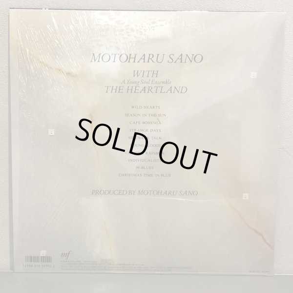 画像2: 佐野元春 / Cafe Bohemia  ~ カフェ・ボヘミア　Motoharu Sano with the Heartland ~