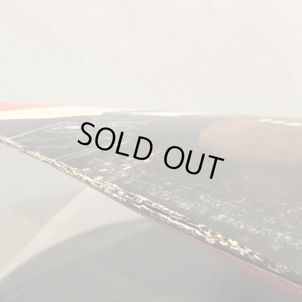 画像6: THE JAMES COTTON BAND / 100% COTTON