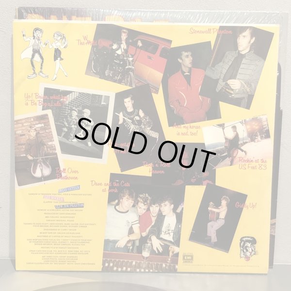 画像4: THE STRAY CATS / RANTN' RAVE 