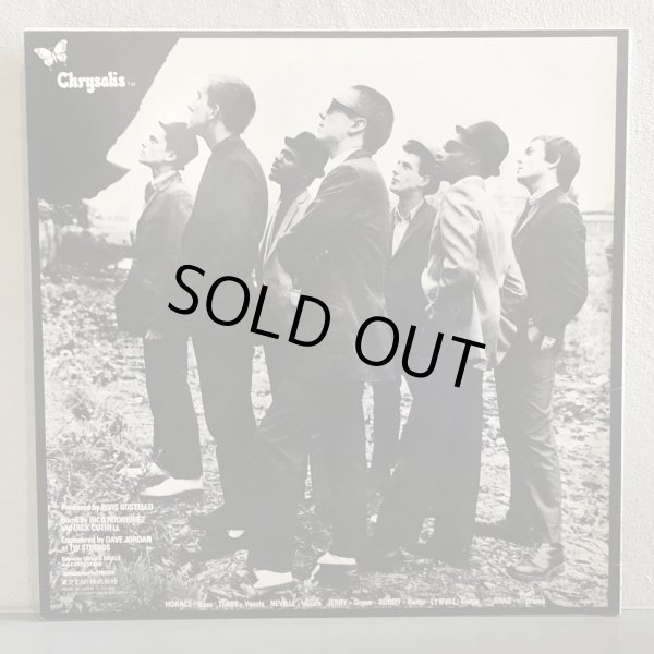 画像2: SPECIALS / THE SPECIALS 