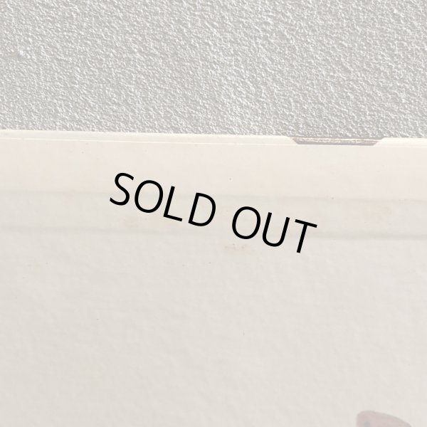 画像9: 古澤良治郎 / たまには。