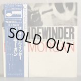 画像: LEE MORGAN / THE SIDEWINDER