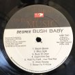 画像5: DEGREE / BUSH BABY 