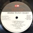 画像4: DEGREE / BUSH BABY 
