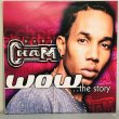 画像1: Baby Cham / WOW... the story  2LP