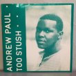 画像1: ANDREW PAUL / TOO STUSH c/w GUNSHOT A FLOW  12" E.P. 