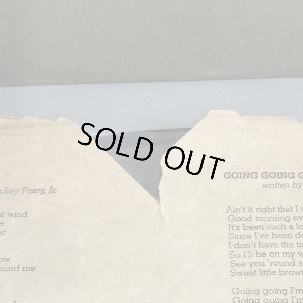 画像5: KALAPANA / kalapana 