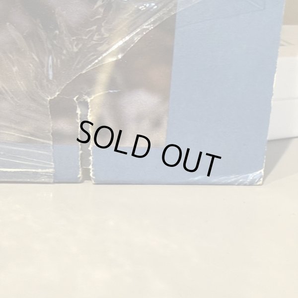 画像8: Roger / unlimited! 