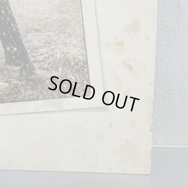 画像3: MFSB / Summertime 