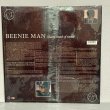 画像2: BEENIE MAN / many moods of moses 