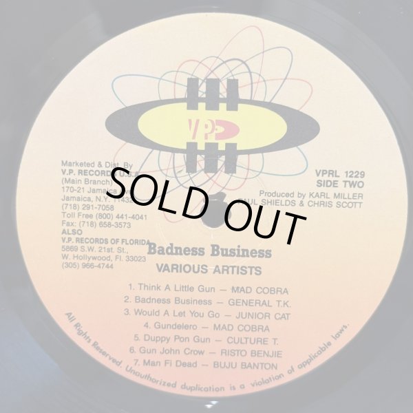 画像5: V.A. / BADNESS BUSINESS 