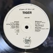 画像6: TIGER / CLAWS OF THE CAT 