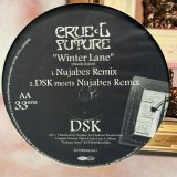 画像: DSK / Winter Lane 12" E.P. 