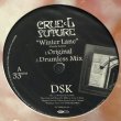 画像2: DSK / Winter Lane 12" E.P. 