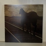 画像: BRUCE COCKBURN / NIGHT VISION 