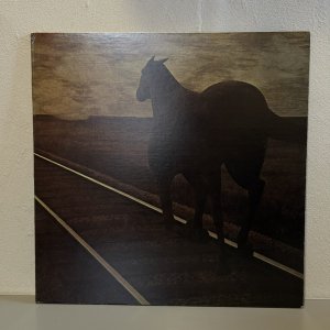 画像: BRUCE COCKBURN / NIGHT VISION 