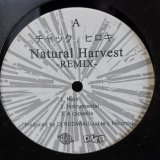 画像: チェック ヒロキ / Natural Harvest -REMIX-  12" E.P. 