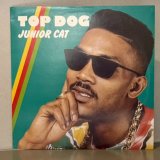 画像: JUNIOR CAT / TOP DOG 