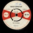 画像1: THE VIKINGS (THE MAYTALS) / NEVER GROW OLD (7")