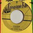 画像2: JUSTIN HINDS & THE DOMINOS / COME BAIL ME c/w BABA BROOKS BAND / STAMPEDE (7")