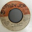 画像2: LADY ANN / INFORMER c/w JOE GIBBS & THE PROFESSIONALS / MOST ON THE CORNER (7")