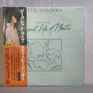 画像: スティービー・ワンダー ~ STEVIE WONDER / シークレット・ライフ ~ JOURNEY THROUGH THE SECRET LIFE OF PLANTS (LP)　