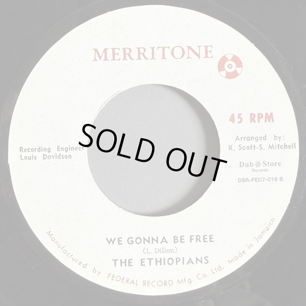 画像2: THE TERMITES / THE ETHIOPIANS — WE GONNA MAKE IT / WE GONNA BE FREE (7")　