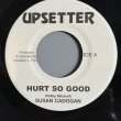画像1: SUSAN CADOGAN / HURT SO GOOD — UPSETTERS / VERSION (7") 
