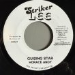 画像1: HORACE ANDY / KING TUBBY'S & THE AGGROVATORS — GUIDING STAR / DUB STAR (7") 