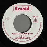 画像: JUNIOR BYLES / BEAT DOWN BABYLON — THE UPSETTERS / VERSION (7") 